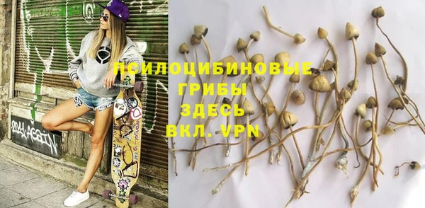 таблы Каменногорск