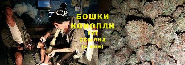 СК Каменка