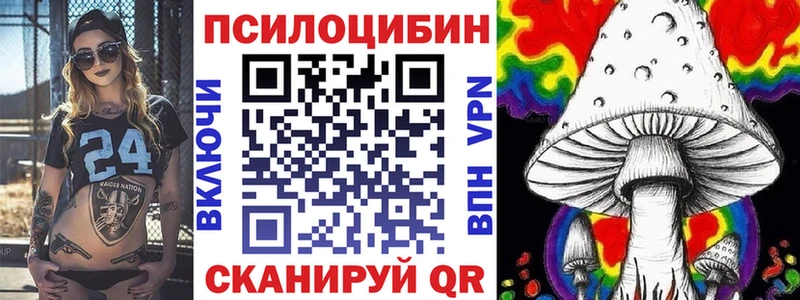 Псилоцибиновые грибы мицелий  Купить где  Купино 
